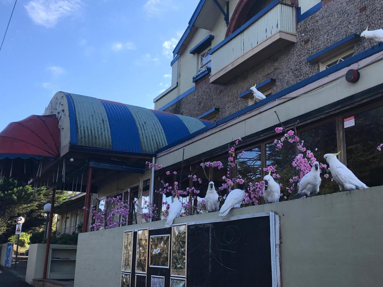 The Clarendon Motel Katoomba Exterior foto